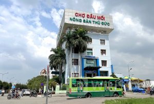 Lật lại chuyện TDH thoái vốn chợ đầu mối nông sản Thủ Đức