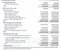 SAM thoái hết 72 tỷ đồng góp vốn tại công ty con