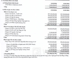 SAM thoái hết 72 tỷ đồng góp vốn tại công ty con