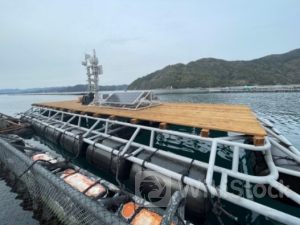 【株式会社ミライト・ワン】愛媛県デジタル実装加速化プロジェクト「トライアングルエヒメ」に継続採択決定