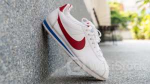 How To Earn $500 A Month From Nike Stock Ahead Of Q4 Earnings - Nike (NYSE:NKE)