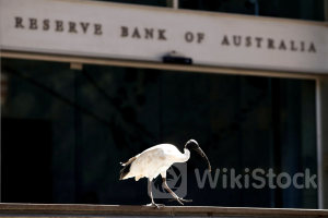 金融政策巡る判断、インフレのみが焦点ではない＝豪中銀副総裁