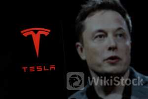 Elon Musk's Tesla Pay Package Saga Continues: Latest Developments - Tesla (NASDAQ:TSLA)