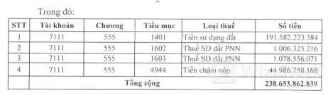 FLC bị cưỡng chế gần 239 tỷ đồng tiền thuế