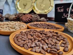 Kinh tế 6 tháng: Xuất siêu nông lâm thủy sản tăng trên 62%