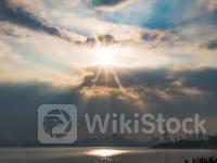 美股异动 | 散户带头大哥带飞的宠物股表现分化 Petco(WOOF.US)盘前仍大涨逾5%