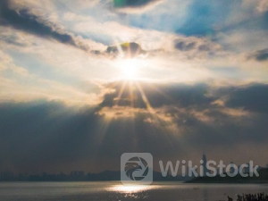 美股异动 | 散户带头大哥带飞的宠物股表现分化 Petco(WOOF.US)盘前仍大涨逾5%