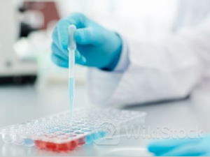 艾伯维(ABBV.US)2.5亿美元达成收购协议 囊获潜在“first-in-class”疗法