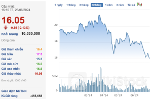 Bà Phạm Minh Hương: Tôi bất ngờ vì cổ phiếu VNDirect "tệ" so với các công ty trong ngành chứng khoán