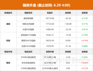 隔夜外盘：美股三大指数收跌 热门科技股多数下跌 耐克大跌近20%