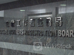 Chairman of social worker body resigns amid reform