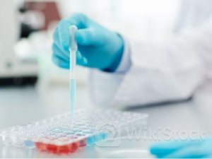 罗氏(RHHBY.US)新一代抗体疗法获积极监管决定