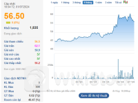 Một tổ chức ngoại chuẩn bị mua gần 3% cổ phần PVI