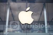 Apple AI Partnership With Google Set For Fall, Mark Gurman Says He's Heard From 'Several Sources' The Dea