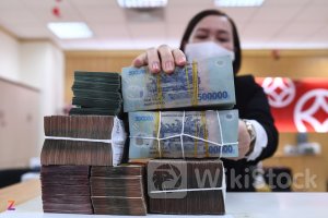 SSB: AIIB đầu tư 75 triệu USD vào trái phiếu xanh của SeABank