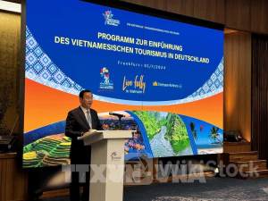 Tiềm năng hợp tác du lịch lớn Việt Nam-Đức