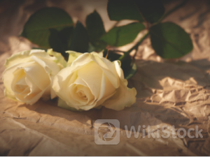 破局100%预防艾滋“神药”，吉利德(GILD.US)股价却开心不起来？