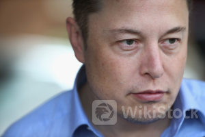 低点反弹近50%竟遭逆势看空！富国银行：特斯拉(TSLA.US)销售前景堪忧，基本面逊于其他“七巨头”