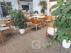 三易科技(EEET.US)下调IPO规模 募资额将降60%至600万美元