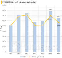 Tương tự như Heineken, Honda và Ford, Toyota cũng đã trả gần 1,5 tỷ USD cho đối tác Việt Nam, biến 1 DN xe tải ít tên tuổi thành công ty giá trị nhất ngành ô tô