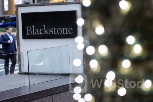 投資ファンドＭＢＫ、アリナミン製薬を買収 ブラックストーンから