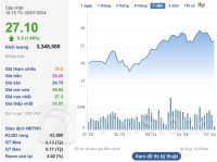 Cổ đông một công ty chứng khoán sắp đón mưa cổ tức tiền mặt