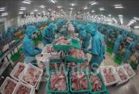 Kinh tế 6 tháng: Dư địa cho xuất nhập khẩu hàng hóa còn rộng mở