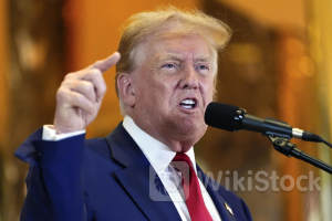 7 crimes Trump could get away with in a second term