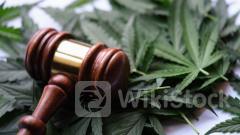 It's Unconstitutional: Hemp Businesses Sue Wyoming Governor Over Law Banning Delta-8 And Similar Substanc