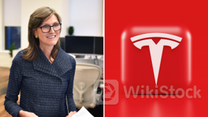 Cathie Wood's Ark Invest Dumps Another $3.25M Worth Of Tesla Shares Amid Searing Q2 Deliveries Rally - Ar