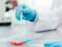 Checkpoint Therapeutics(CKPT.US)向美国FDA提交其PD-L1靶向抗体上市申请