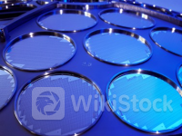 联电(UMC.US)6月净销售额同比大跌7.91% 至175.48亿元新台币