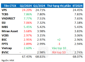 HNX quý 2/2024: Thị phần của Chứng khoán VPS sụt nhẹ