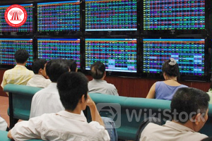 Năm 2024, có bao nhiêu hình thức chào bán chứng khoán ra công chúng？