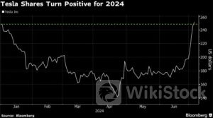 马斯克不得乐疯？特斯拉上半年跌出的“窟窿” 下半年一周就填上了