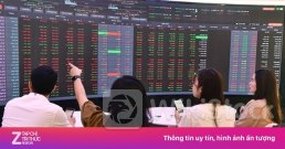 Điện lực TP.HCM lên tiếng việc HoSE bị gián đoạn giao dịch