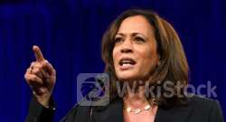 Scaramucci Says Kamala Harris Will Likely Run For Office As Biden May Not Finish His Term: 'Interesting .