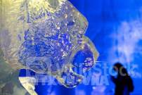 Bữa tiệc ánh sáng tại công viên băng tuyết trong nhà lớn nhất thế giới