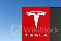 Tesla Could Be On The Verge Of A 9-Day Winning Streak As Nvidia, Apple, Microsoft, And Other Mag 7 Stocks