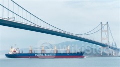 Shipping Stocks Torpedoed, as COSCO SHIP HOLD Sinks 9%+; Baltic Dry Index Dives to Low of Over 1 Wk