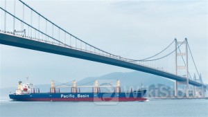 Shipping Stocks Torpedoed, as COSCO SHIP HOLD Sinks 9%+; Baltic Dry Index Dives to Low of Over 1 Wk