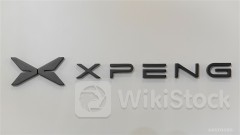 XPENG-W VP cum Tech Center Head Resign