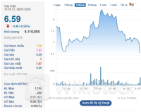Ông Lương Trí Thìn bị tố cáo chiếm đoạt tài sản, cổ phiếu DXS giảm sàn: Đất Xanh Group lên tiếng