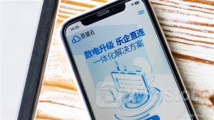 ＜IPO＞Baiwang Co., Ltd.-H Shares(06657.HK) Opens Flat at $36 on Gray Mkt