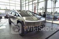 Tesla stock notches 9th straight day of gains