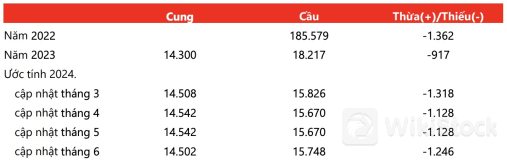 ANRPC nâng dự báo thiếu hụt cao su toàn cầu, doanh nghiệp cao su Việt Nam hưởng lợi