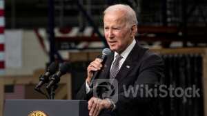 Ex-Obama Advisor Concerned About Biden's Mental Acuity After Comparing Him To Buffett, Pelosi, And Frankl