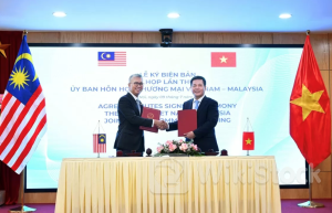 Việt Nam- Malaysia phấn đấu đạt mục tiêu thương mại song phương 18 tỷ USD