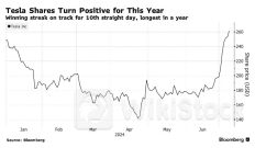 权重创历史新高！特斯拉(TSLA.US)较低点反弹逾80%后成“木头姐”旗舰基金最大重仓股