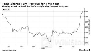 权重创历史新高！特斯拉(TSLA.US)较低点反弹逾80%后成“木头姐”旗舰基金最大重仓股